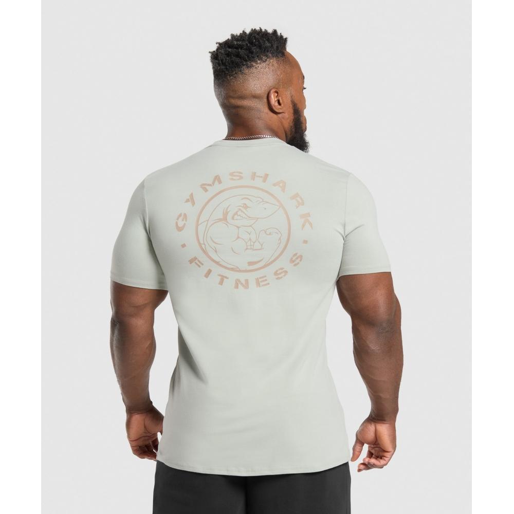 Gymshark Футболка Legacy Stone Grey A5a3b Gb7s