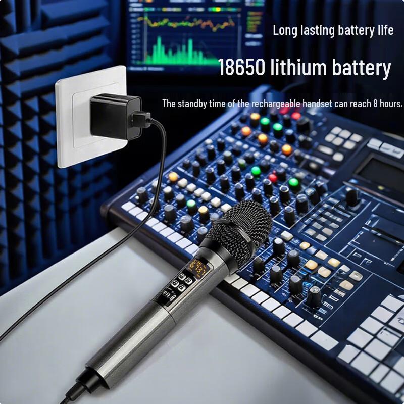 HooSt DC-115-2C Wireless Dual Handheld Microphone System (CN version)