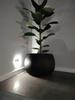 Beton Bowl DKB290 ball flowerpot with insert | Beton