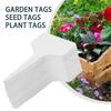 100 шт. Белые пластиковые этикетки для растений, садовые бирки, этикетки для цветочных растений, подносы для питомника, маркировка бонсай, садовые горшки, украшения