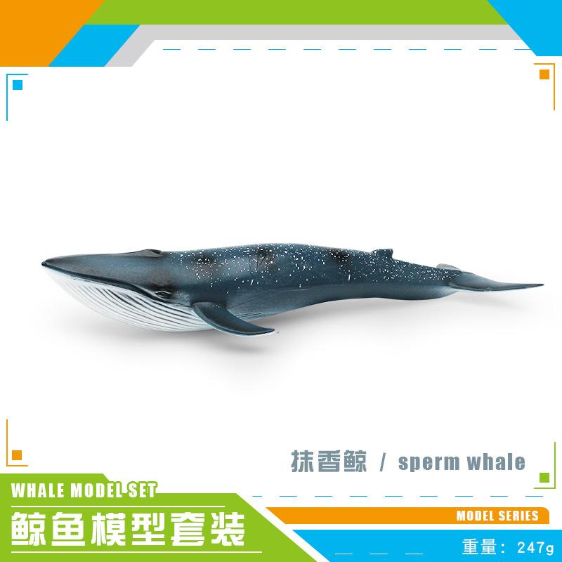 Simulation Of Marine Animals 2 Whale Models Children'S Cognition Of Underwater Creatures Sperm Whale Blue Whale Static Ornament