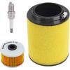 17254-HN1-000 Air Filter+Oil Filter+Spark Plug Compatible with Honda Foreman 500 TRX500F 4x4 Rubicon 500 TRX500FA 4x4 Pioneer 500 SXS500M2 Rancher