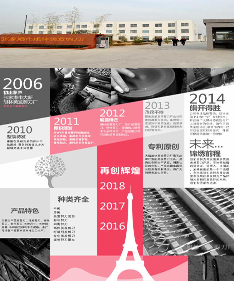 Haircut Scissors Professional Hairdressing Scissors Set Hairdresser Practice Cutting Hair Flat Cutting Tooth Scissors