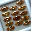 Natural Sapphire Loose Gemstone 12 pcs Champagne Marquise Cut 7x5 mm September Birthday Birthstone