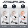Joyreal Baby Sensory Toys, 13 Pcs Black and White Sensory Toys 0-6 Months, Foil Blanket, Sensory Cards, Baby Rattles, Ribbon Ring, Scarf, Maracas, Ne