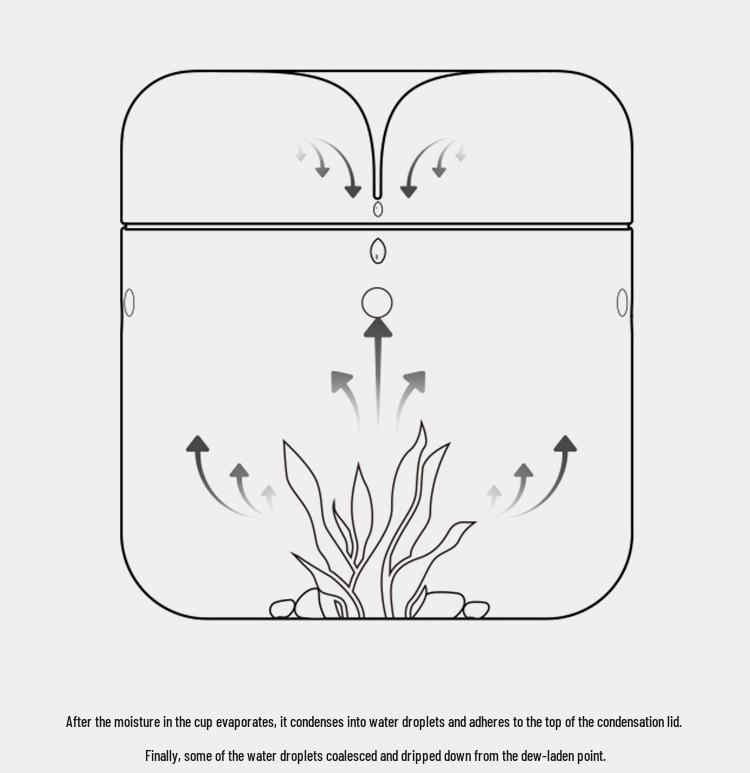 Dew Collection Mini Ecosystem: Moss Terrarium Glass Cover Decor