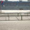 Hezheng Professional Dog Training Supplies