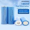 Xinkaicen 18650 Lithium Battery and USB Charger Kit