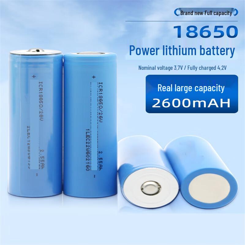 Xinkaicen 18650 Lithium Battery and USB Charger Kit