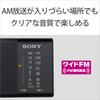 Sony Удобное портативное радио FM-совместимое горизонтальное, тип черный B ICF-P36 FM/AM/Wide ICF-P36