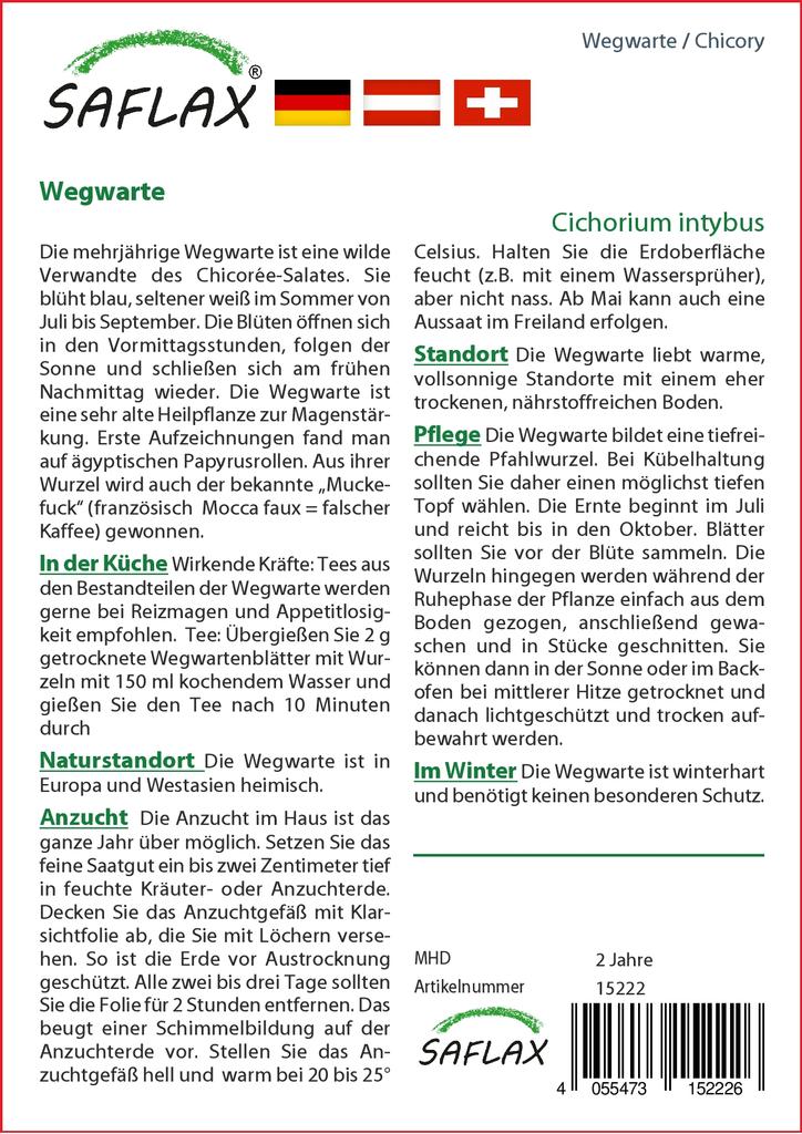 SAFLAX Garden in the Bag - Цикорий - 250 семян - С субстратом в подходящем пакете - Cichorium intybus