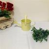 Яркие Компактные Лейки Из Оцинкованной Стали Прочная Конструкция Нескользящая Ручка Для Террас Уход За Растениями