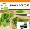 Garden in the Bag - Органический - Французский щавель - 400 семян - С субстратом в подходящем пакете - Rumex acetosa
