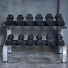 Wei Bu Double-Layer Dumbbell Storage Rack