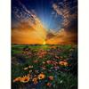 Полная круглая алмазная картина цветок небо вышивка пейзаж вышивка крестом картины из стразов изделия ручной работы 30x40 см