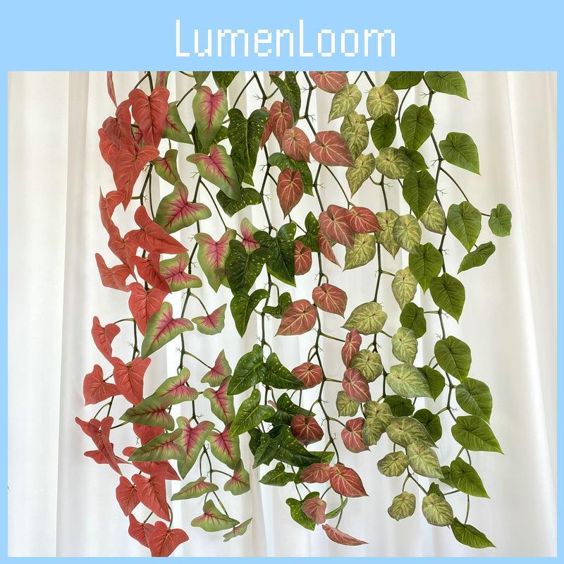 Aureum Cane Epipremnum For Kindergarten Wedding And Photography Settings