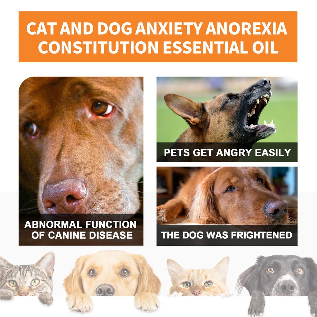 Calming Oil For Dogs Calming Drops Pet Stress Relief Blend Oil For Dogs Cats Anxiety-Free Experience Skin Health 30ml