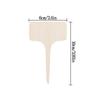 20/40/60Pcs Wooden Plant T-Type Labels Fruit Dessert Flower Pot Handwritten Marker Garden Seed Christmas Party Food Sign Tag