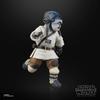 Hasbro Star Wars Black Series Basil Order Acolyte Collectible 15cm Action Figure Authentic (Jedi Pursuer), G1549,