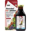 Floradix Pregnancy and Childbirth Iron Supplement Pregnancy Nutrition Floradix Floravital Liquid Iron and Vitamin Formula 250ml, 1 Piece