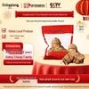 Выдержанная 7 лет сушеная корка мандарина Синьхуэй от Xinbaotang