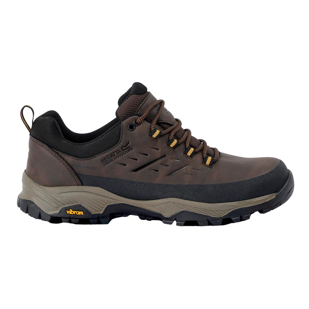 Regatta Mens Blake Low Walking Shoes