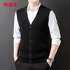 Hengyuanxiang Men's 100% Wool V-Neck Knitted Vest 84337