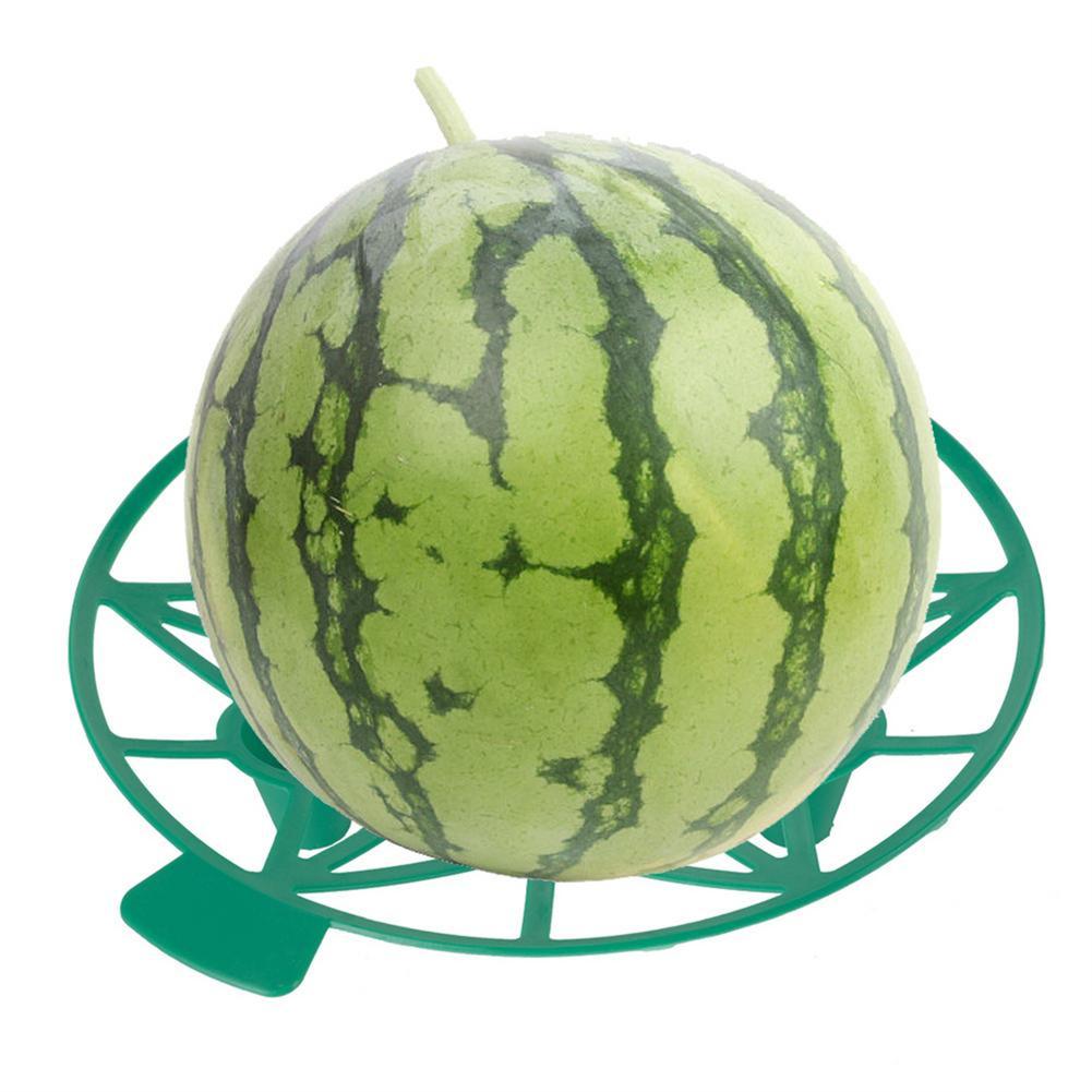 10 шт., держатель для арбуза, подставка, легкий, устойчивый к коррозии, садовый инструмент для посадки дыни, овощей, фруктов