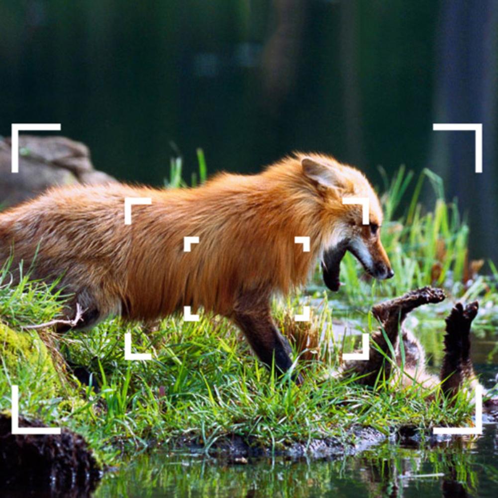 Уличная охотничья камера 4k 20MP с ночным видением Уличная камера IP66 Уличная камера для охоты с триггером для разведки дикой природы