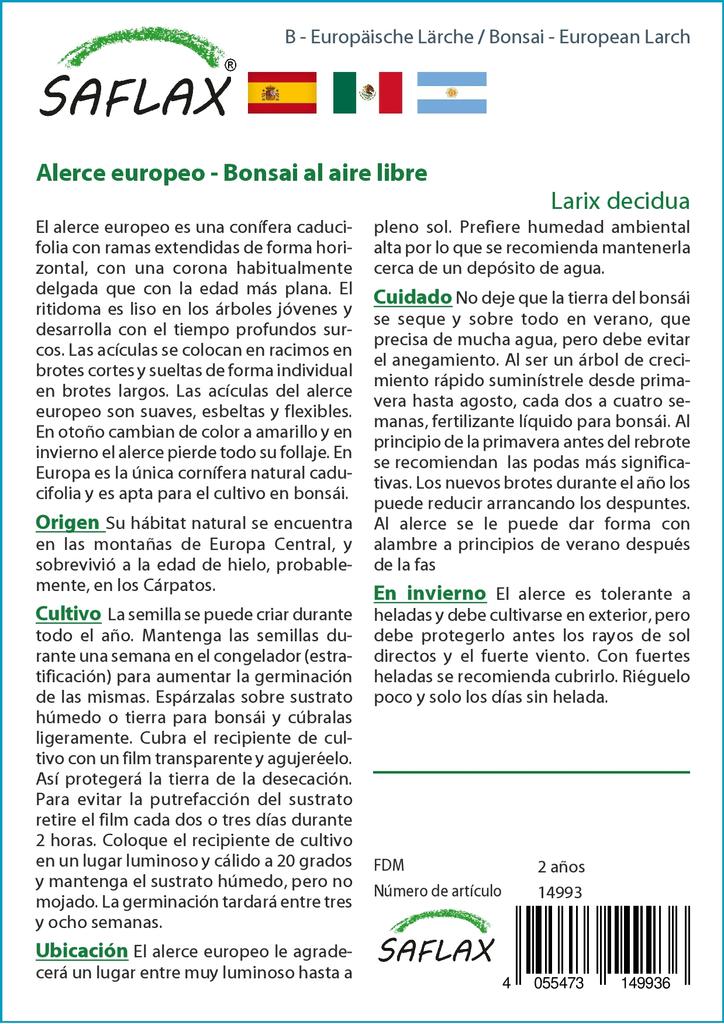 SAFLAX Garden in the Bag - Бонсай - Лиственница европейская - 75 семян - С субстратом в подходящем мешке - Larix decidua