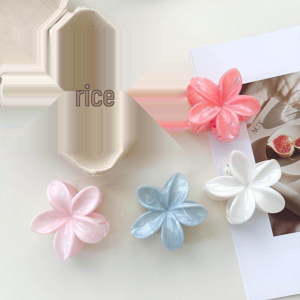 Mingyue Plumeria Gradient Hair Claw Clip