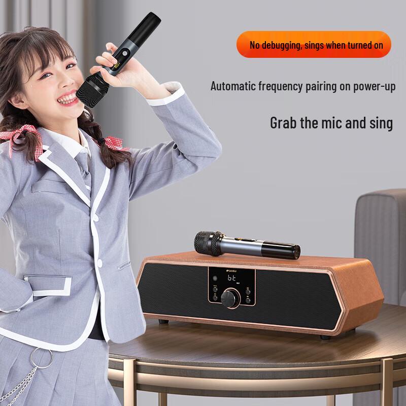 SANSUI N16 Flagship Retro All-in-One KTV Bluetooth Speaker