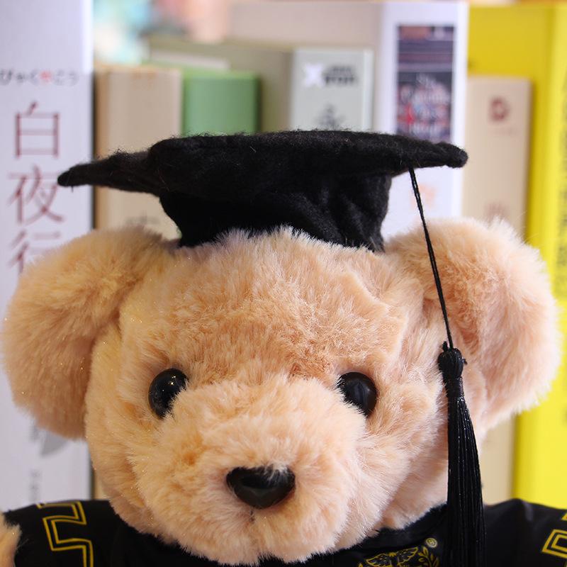 Выпускной колпак Доктора Медведя Медведь Медведь Плюшевая игрушка Бакалавр Тедди Медведь Кукла Выпускной памятный подарок