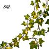 Artificial Ivy String Lights 32.8FT Vine Fairy Lights, Garland, Fake Hanging Vines Decorations, Leaves with Flexible LED Light for Bedroom Wall