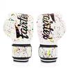 Fairtex Boxing Gloves BGV14 Painter White 16oz