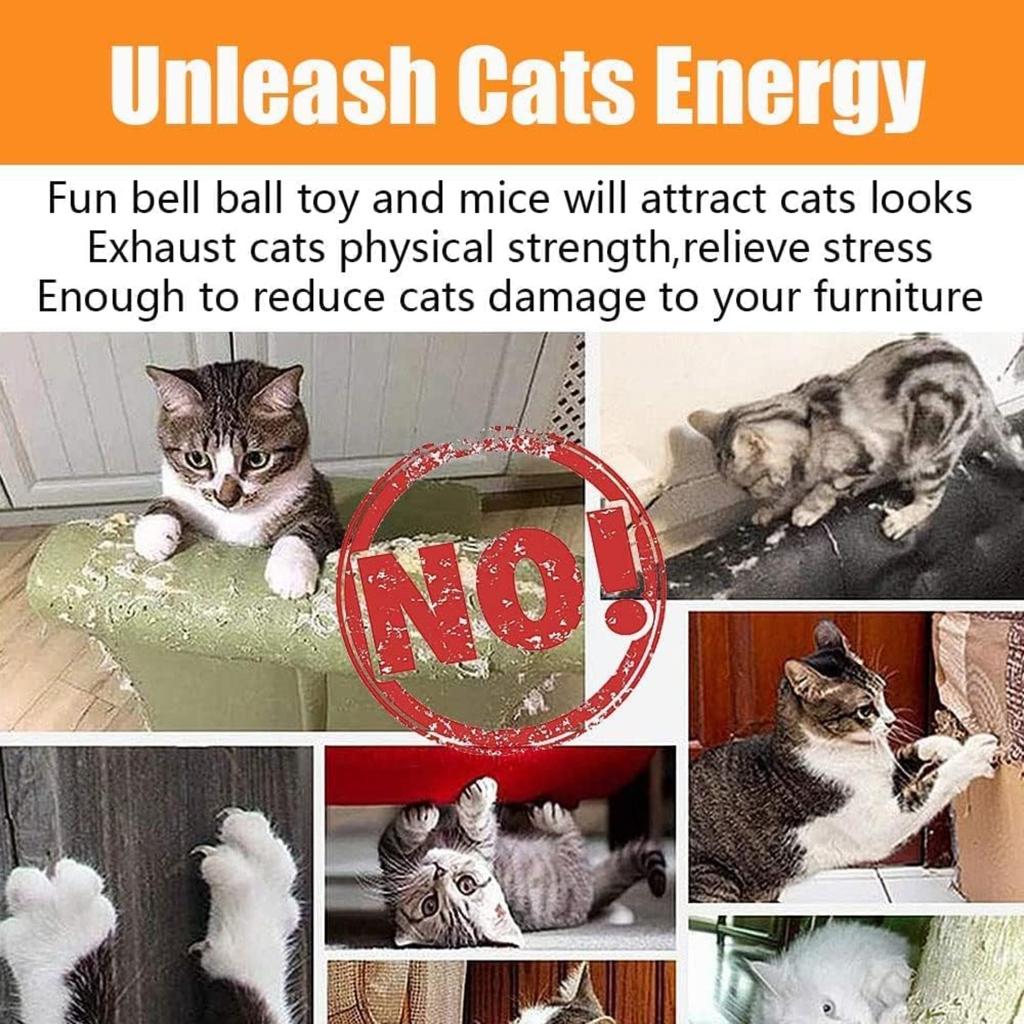 Speedy Panther 22 Pcs Cat Toys for Indoor Cats Adults Interactive Kitten Toys Cat Tunnel Mouse Feather Teaser Wand Spring Toy