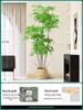 Artificial Nandina Domestica Potted Plant for Home Decoration - Green Ornamental Bonsai for Living Room or Sofa Side Decor.