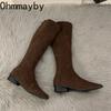 Дизайнерские винтажные женские сапоги до колена, модные туфли на низком каблуке, лаконичные, тонкие, длинные, Botas De Mujer
