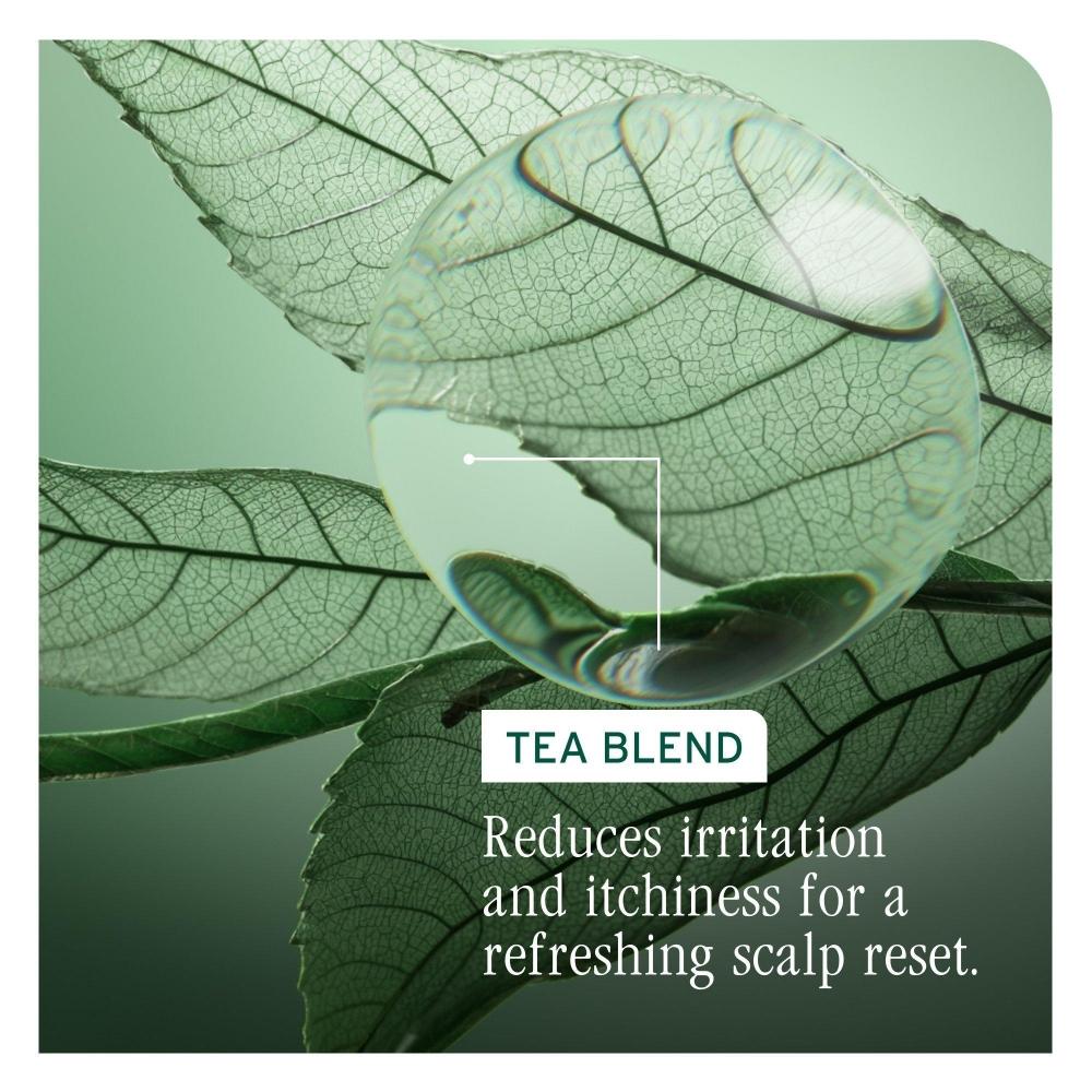 Biolage Scalp Sync Calming Shampoo For Dry Sensitive Scalp 13.5 Oz