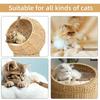 Игрушки для кошек Кошачьи Деревянная Корень Спорыша Зубочистка Котенок Самостоятельное Развлечение Черви Галл Фрукт Дразнилка Чистка Зубов Товары для Питомцев Деревянная Небесный Огонь