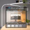 Hensam Double Led Desk Lamp - Adjustable Touch 5 Colors