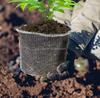 Grid-shaped Plant Growing Bag Stainless Steel Wire Woven Bag Protect the Roots of Plants for Garden Plants Cultivation Nurturing