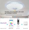 Красочный Bluetooth-динамик, потолочный светильник, светодиодный светильник для погони, умный потолочный светильник + RGBCW + приложение, пульт дистанционного управления