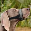 Reflective Tactical Dog Muzzle Anti-Bark Training Lead Rope Guide Pet Mouth Cover for Medium To Big Dog Training Accessories