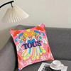 TTous Brand Cushion Cover Pillowcase Ultra Soft Skin Friendly Fabric Cloud Like Comfort Concealed Zipper