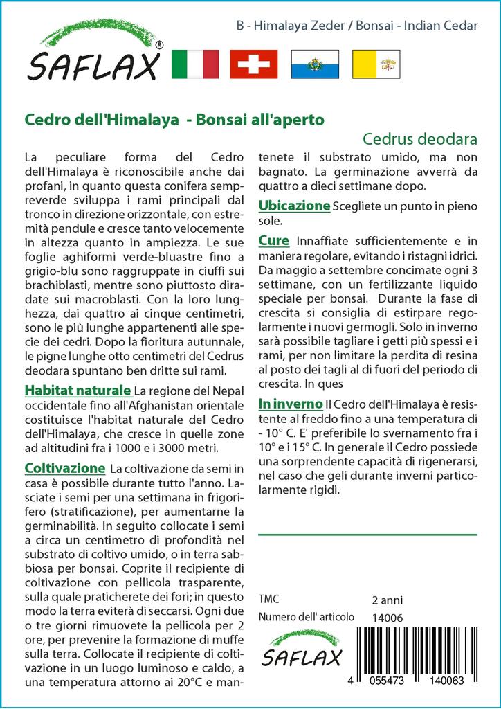 SAFLAX Garden in the Bag - Бонсай - Индийский кедр - 35 семян - С субстратом в подходящем мешке - Cedrus deodara