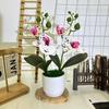 Butterfly Orchid Imitation Flower Set For Home Interior And Outdoor Garden Decoration