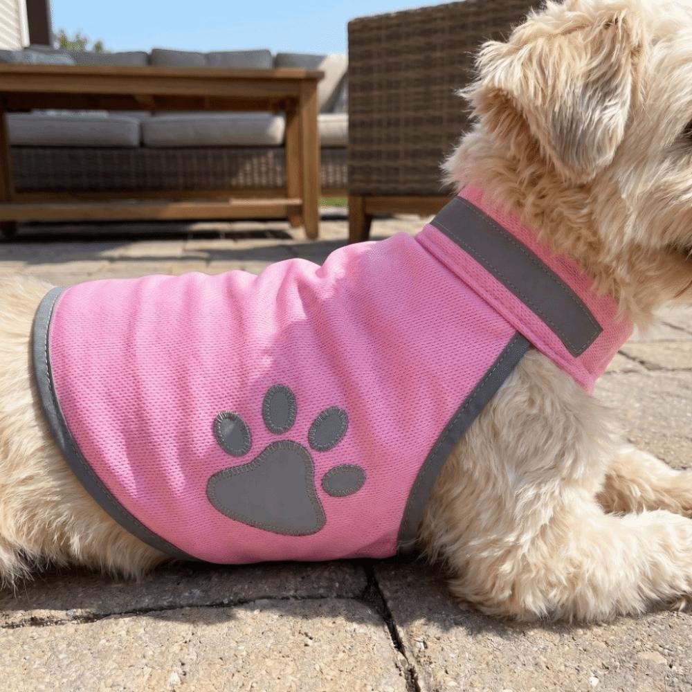 Adjustable Puppy Visibility Jacket Reflective Pet Fluorescent Clothes  for Walking Night