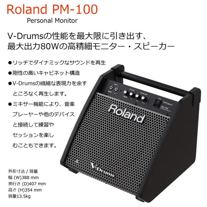Мониторный громкоговоритель для электронных барабанов Roland PM-100 с комплектом кабелей (Совместимо с TD-17/27/50X/V71)
