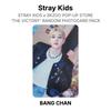 Stray Kids X SKZOO POP-UP STORE 'THE VICTORY' Случайный набор фотокарточек Официальная фотокарточка